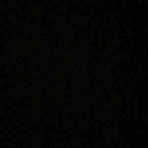 Meet your Posher, Eleanor